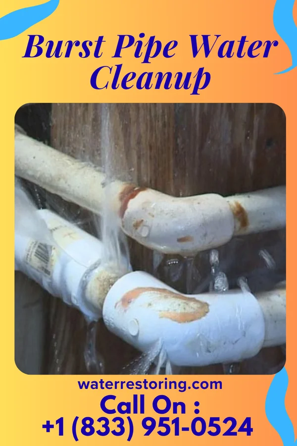 Burst Pipe Water Cleanup in Holiday Pocono, PA