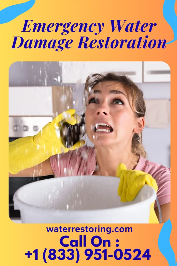 Emergency Water Damage Restoration in Holiday Pocono, PA