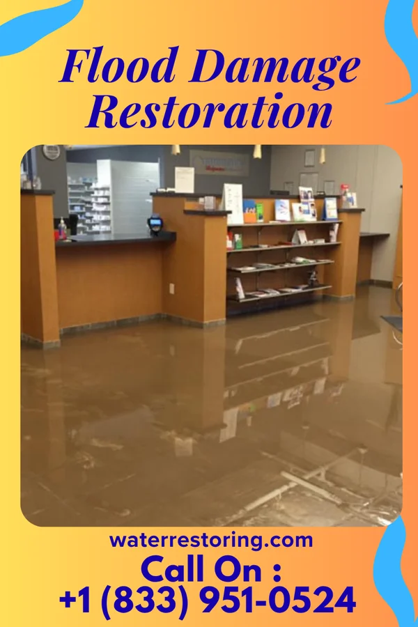 Flood Damage Restoration in Holiday Pocono, PA