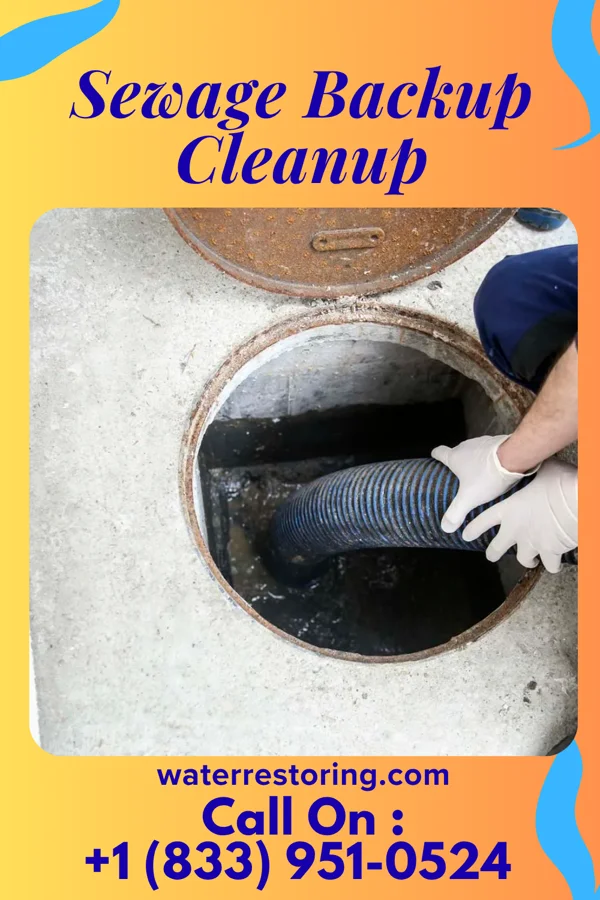 Sewage Backup Cleanup in Holiday Pocono, PA