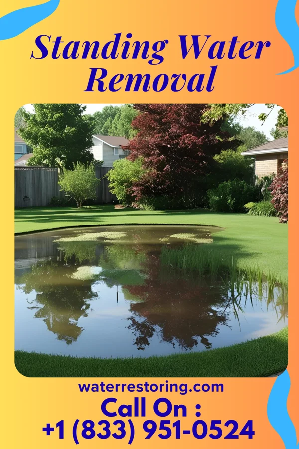 Standing Water Removal in Holiday Pocono, PA